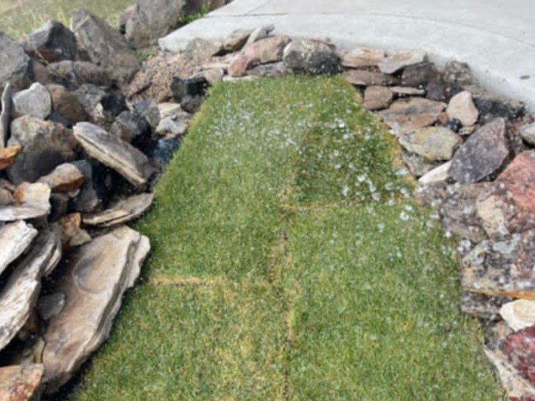 Saul Landscaping LLC