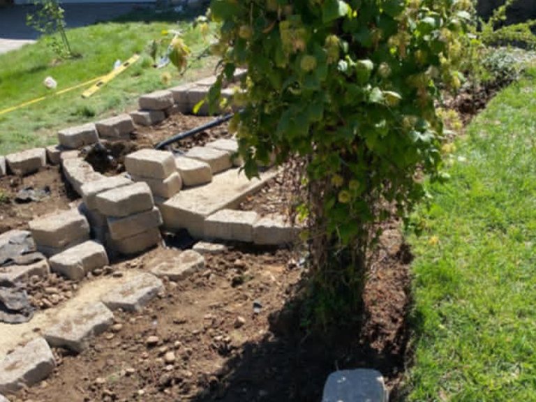 Saul Landscaping LLC