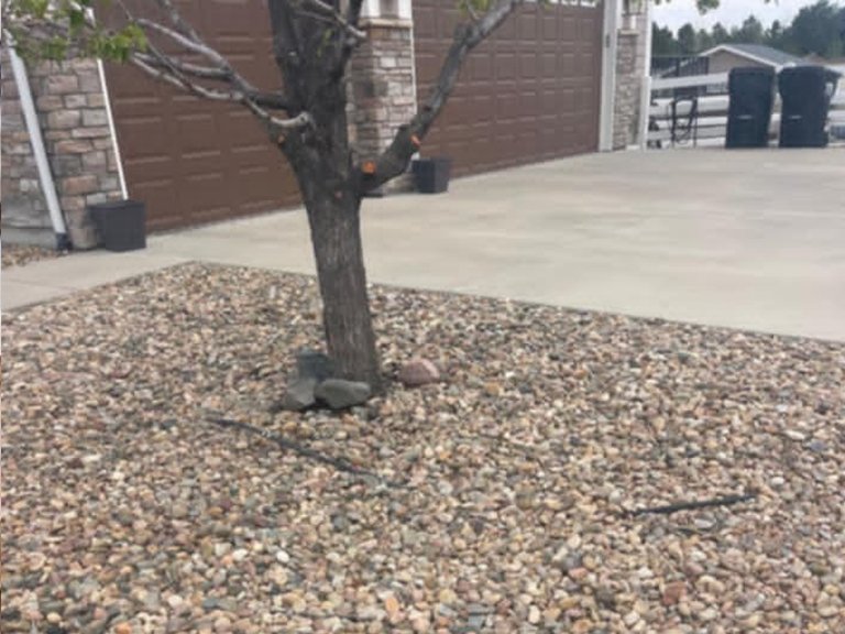 Saul Landscaping LLC
