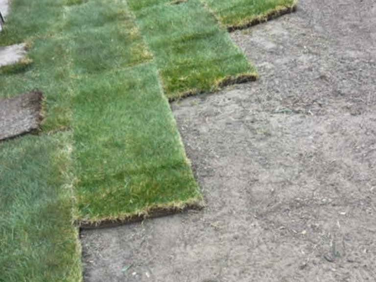 Saul Landscaping LLC
