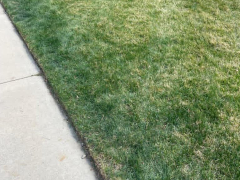Saul Landscaping LLC