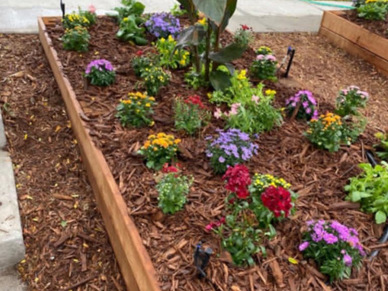 Saul Landscaping LLC